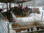 2012-12-09 WMarkt 34.jpg